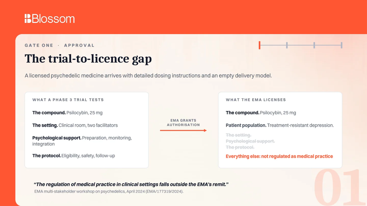 Comparison of what Phase 3 tests and what the EMA licenses.