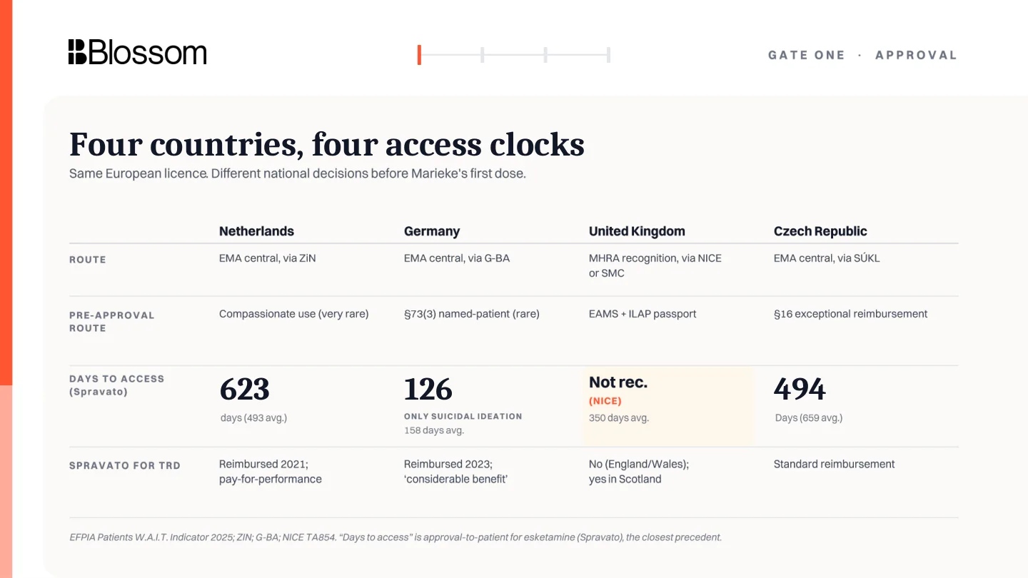 Comparison of approval routes and access clocks across four countries.