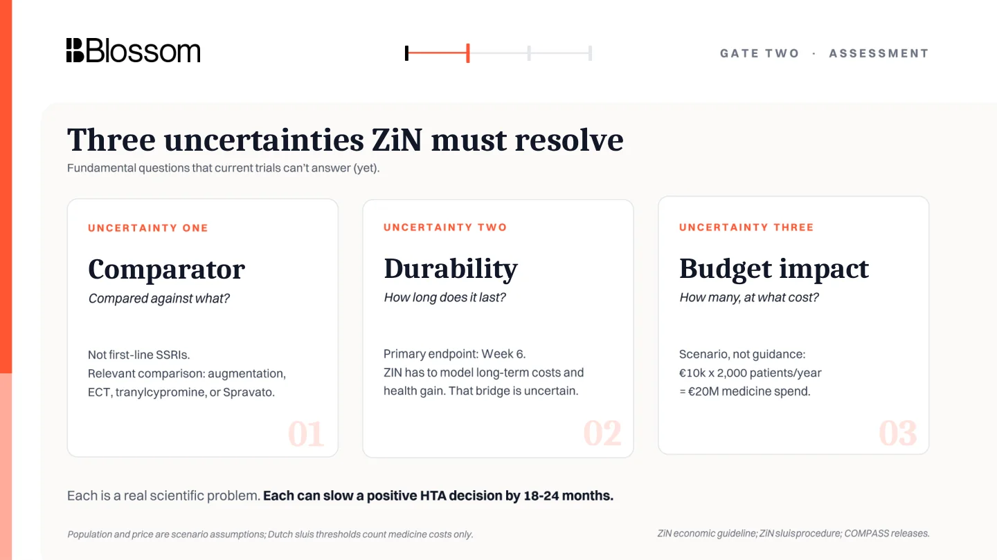 Three uncertainties for Dutch HTA: comparator, durability, and budget impact.