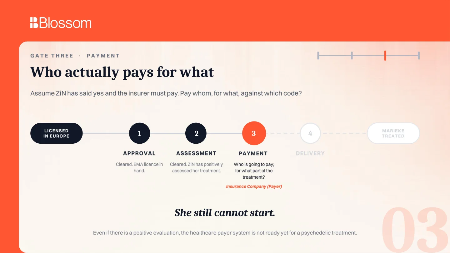 Payment gate after approval and assessment have cleared.