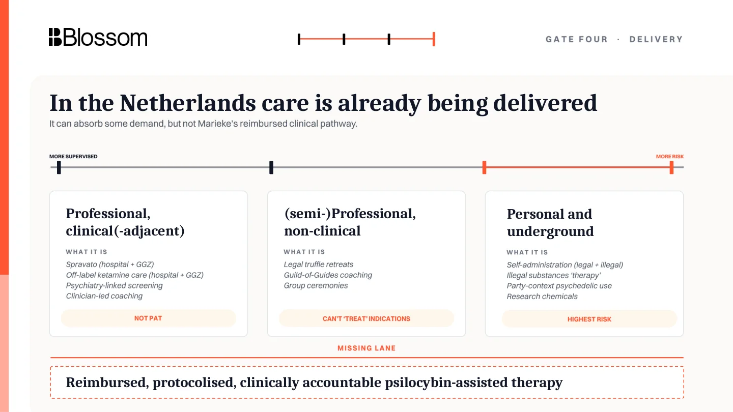 Risk and professionalism lanes for current psychedelic care in the Netherlands.