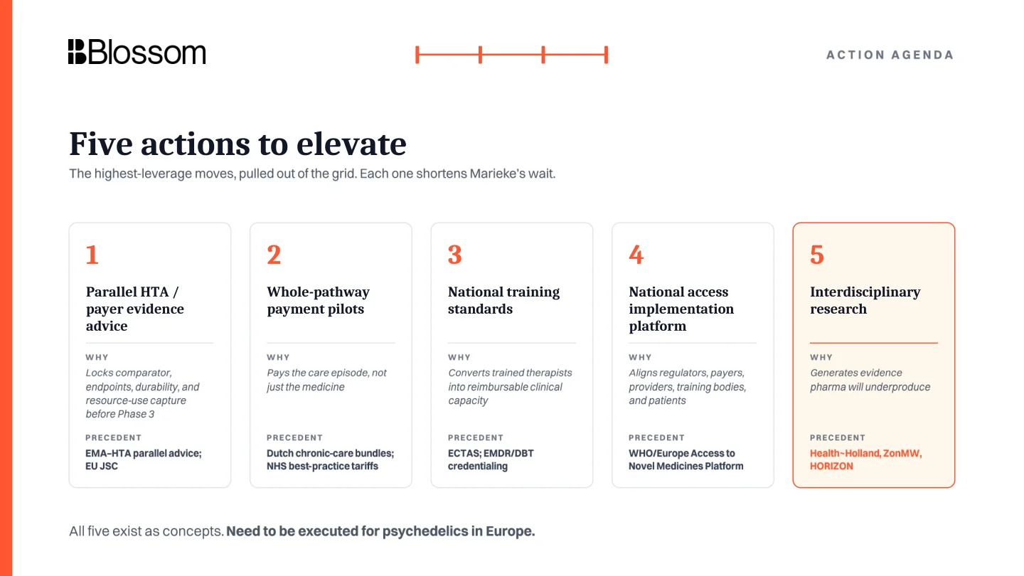 Five high-impact actions for psychedelic therapy implementation.
