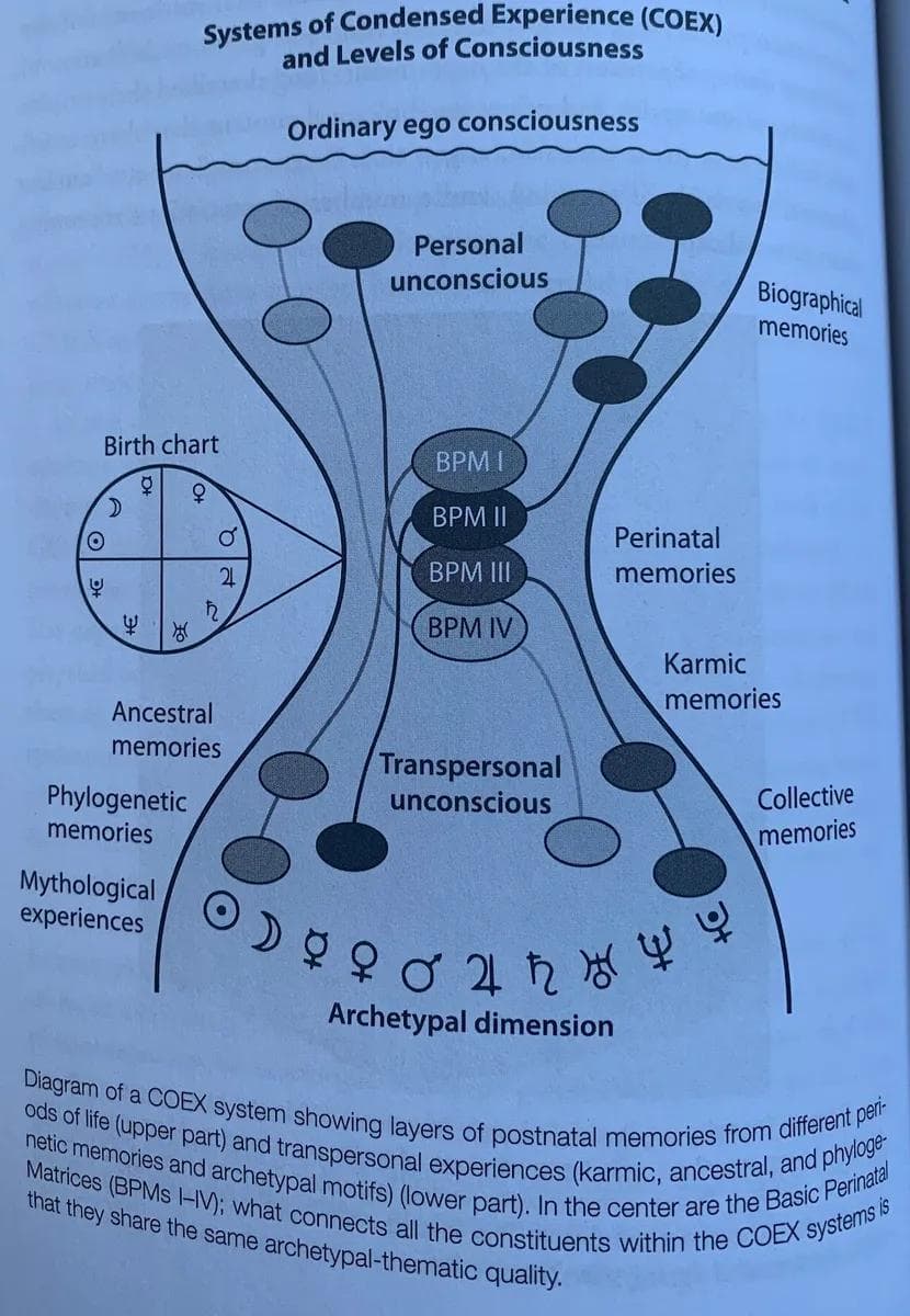 Cover of The Way of the Psychonaut