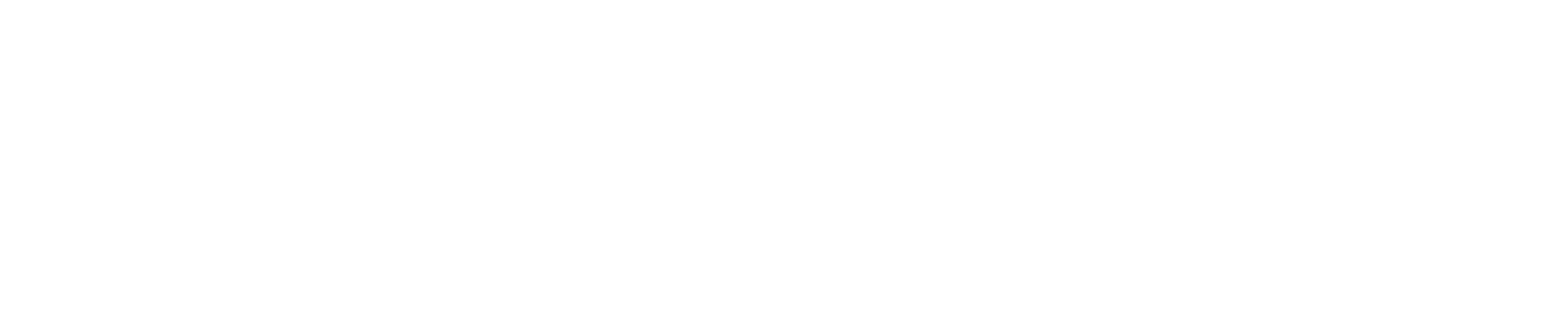 Blossom Wordmark — White